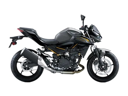 Z500 — Metallic Matte Graphenesteel Gray / Metallic Flat Spark Black