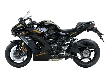 Ninja H2 SX — náhľad 3