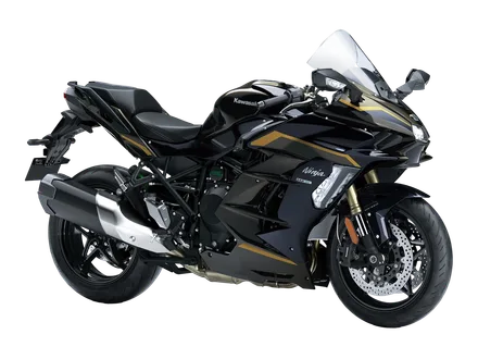 Ninja H2 SX — náhľad 2