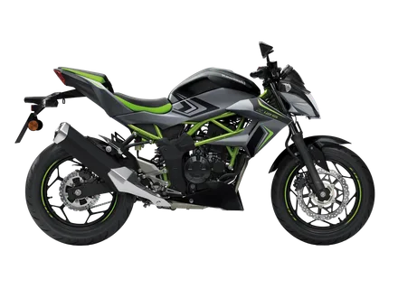 Z125 — Pearl Storm Gray / Ebony