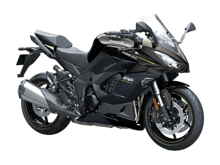 Ninja 1100 SX — náhľad 2
