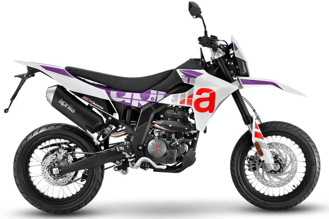 SX 125 Cubozoa White