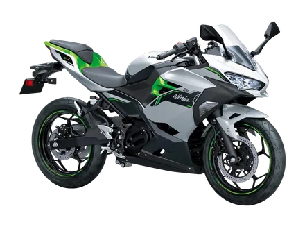 Ninja e-1 — náhľad 1