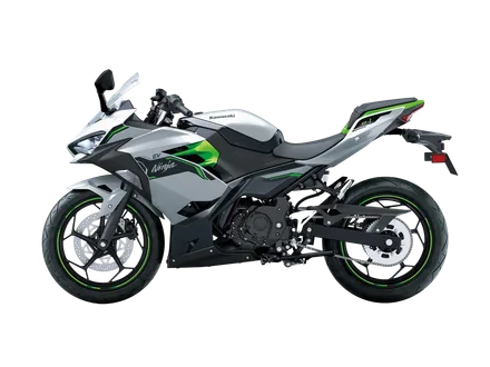 Ninja e-1 — náhľad 3