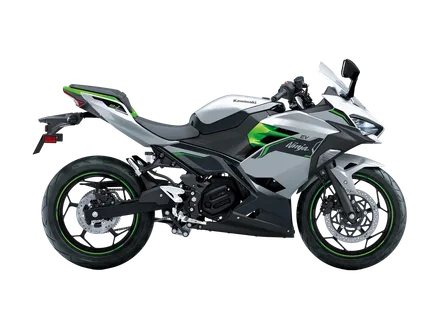 Ninja e-1 — náhľad 2