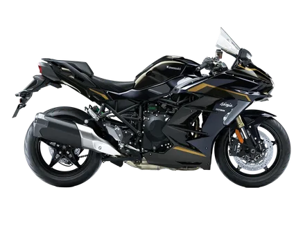 Ninja H2 SX — Metallic Brilliant Golden Black / Metallic Diablo Black