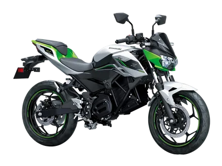 Z e-1 — Metallic Bright Silver / Metallic Matte Lime Green / Ebony