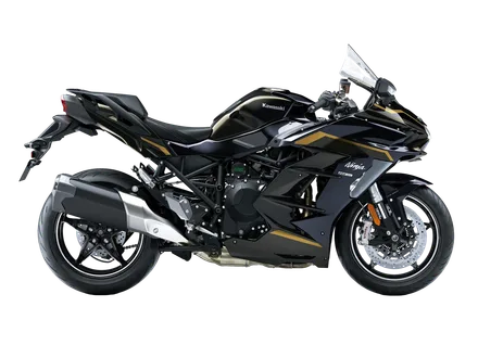 Ninja H2 SX SE — Metallic Brilliant Golden Black / Metallic Diablo Black