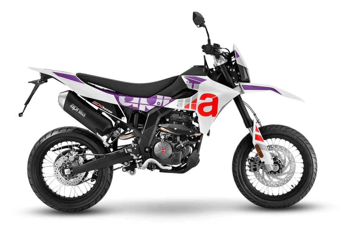 SX 125 Cubozoa White