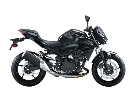Z500 — Ebony / Metallic Carbon Gray